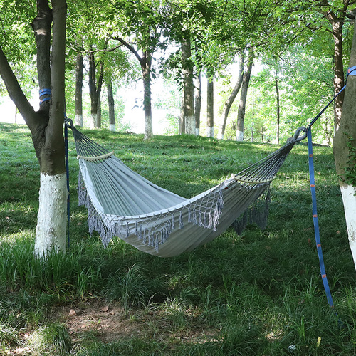 SC 10  Canvas Hammock