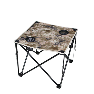 FS 10  Chair&Table Set